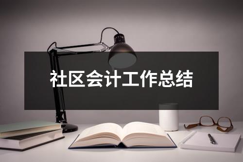 社区会计工作总结