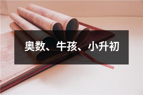 奥数、牛孩、小升初