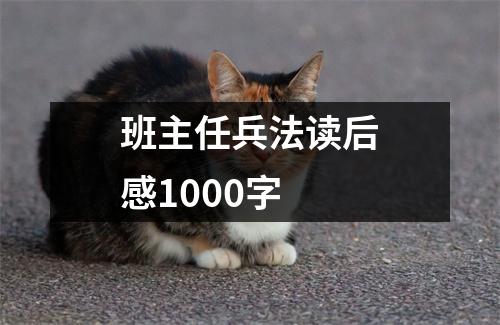 班主任兵法读后感1000字