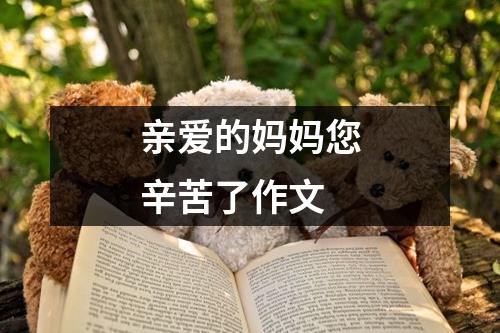 亲爱的妈妈您辛苦了作文