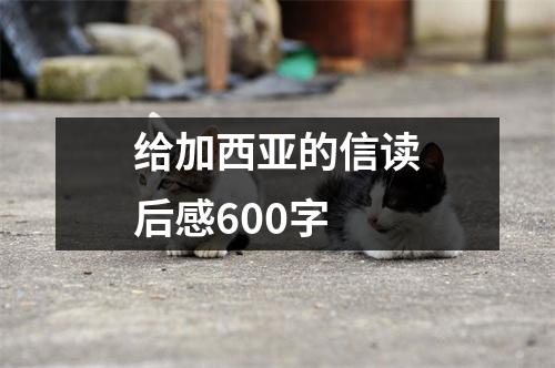 给加西亚的信读后感600字