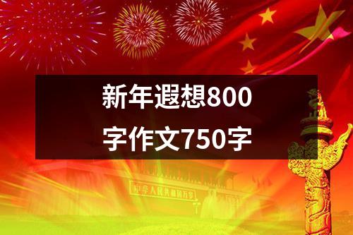 新年遐想800字作文750字