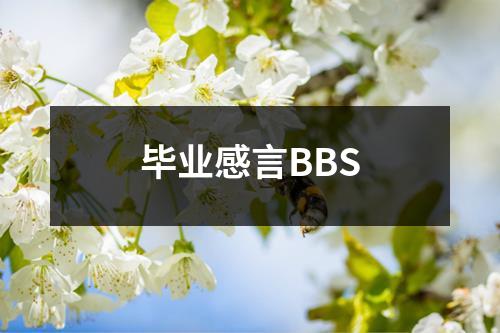 毕业感言BBS