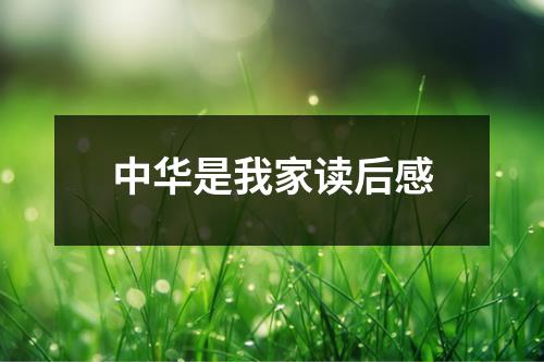 中华是我家读后感