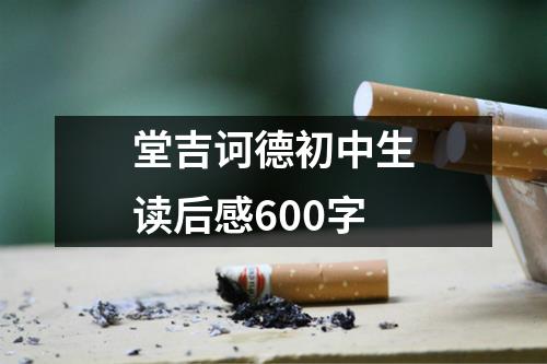 堂吉诃德初中生读后感600字