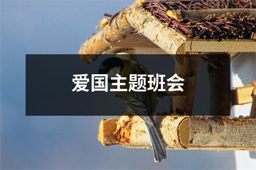 爱国主题班会