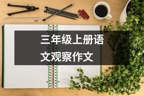 三年级上册语文观察作文