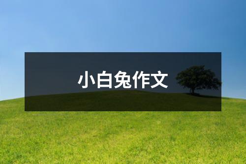 小白兔作文