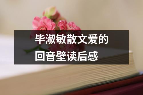 毕淑敏散文爱的回音壁读后感