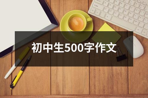 初中生500字作文