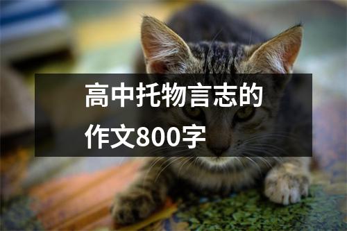 高中托物言志的作文800字