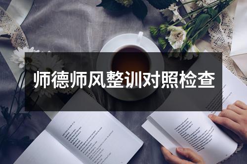 师德师风整训对照检查