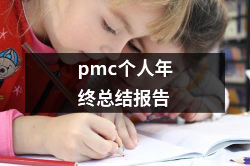 pmc个人年终总结报告