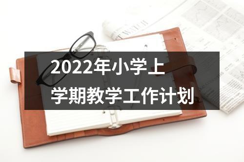 2022年小学上学期教学工作计划