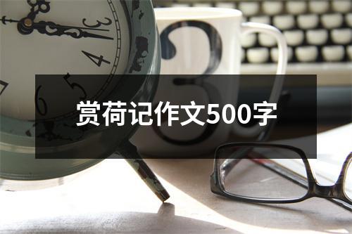 赏荷记作文500字