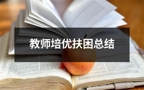 教师培优扶困总结