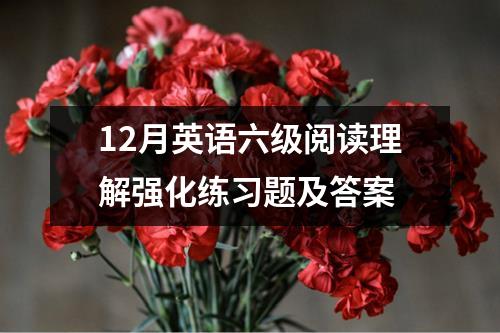 12月英语六级阅读理解强化练习题及答案