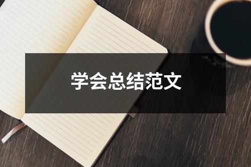 学会总结范文