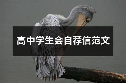 高中学生会自荐信范文