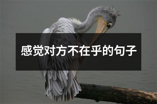 感觉对方不在乎的句子