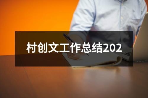 村创文工作总结202