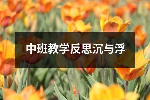 中班教学反思沉与浮