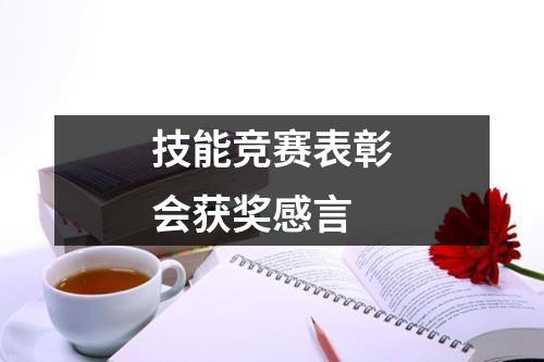 技能竞赛表彰会获奖感言