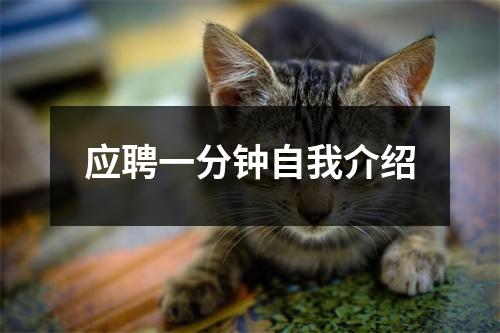 应聘一分钟自我介绍