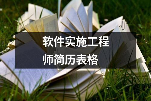 软件实施工程师简历表格