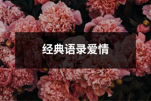 经典语录爱情