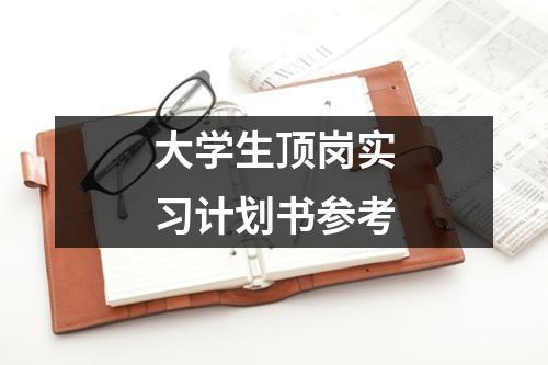 大学生顶岗实习计划书参考