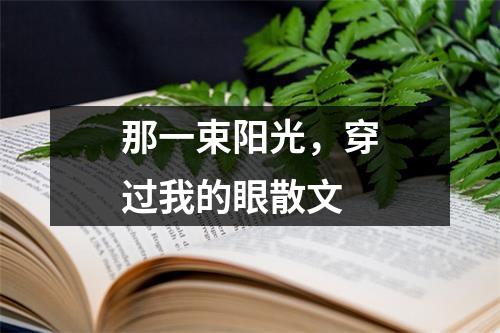 那一束阳光，穿过我的眼散文