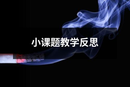 小课题教学反思