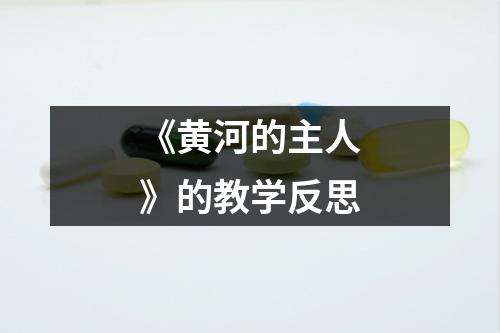 《黄河的主人》的教学反思