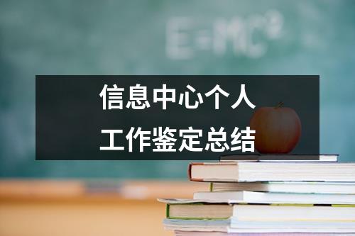 信息中心个人工作鉴定总结