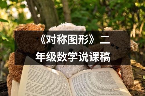 《对称图形》二年级数学说课稿