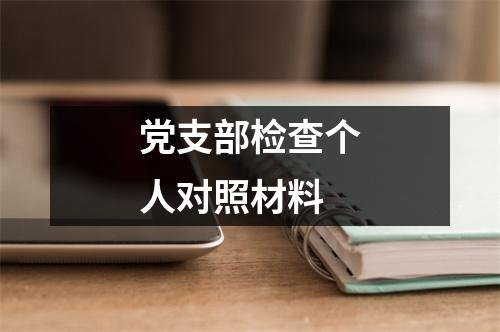 党支部检查个人对照材料