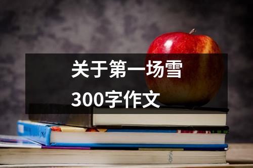 关于第一场雪300字作文