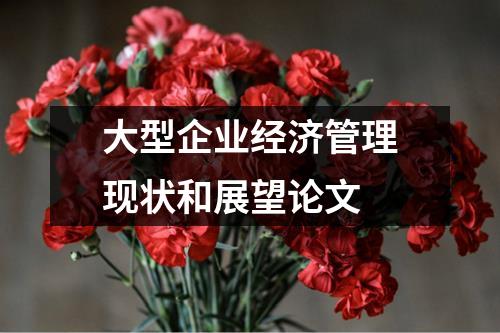 大型企业经济管理现状和展望论文