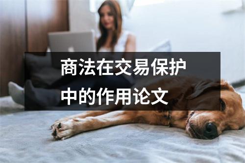 商法在交易保护中的作用论文