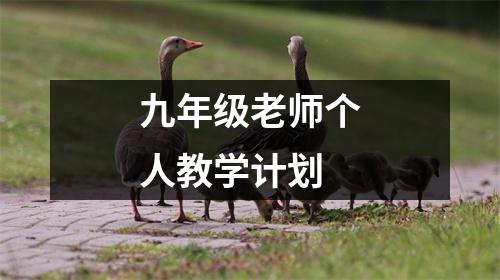 九年级老师个人教学计划