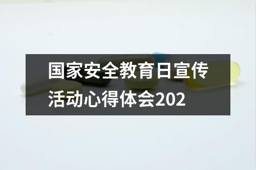 国家安全教育日宣传活动心得体会202