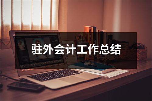 驻外会计工作总结