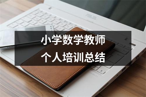 小学数学教师个人培训总结