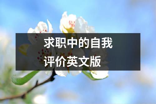 求职中的自我评价英文版