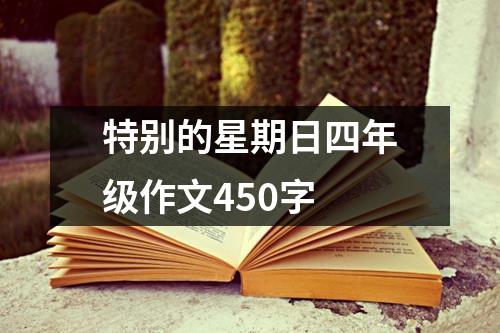 特别的星期日四年级作文450字