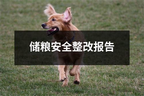 储粮安全整改报告