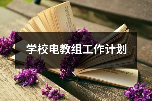 学校电教组工作计划