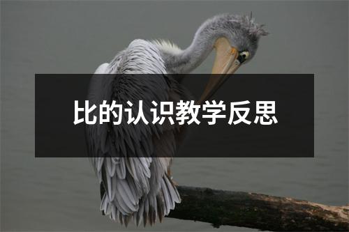 比的认识教学反思