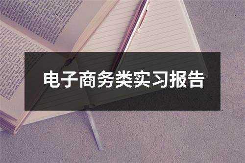 电子商务类实习报告